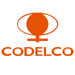 log codelco